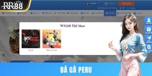 Đá gà Peru