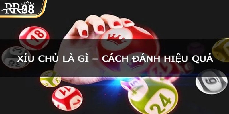 Điểm qua các bí quyết đỉnh cao 2025 giúp gia tăng lợi nhuận lớn